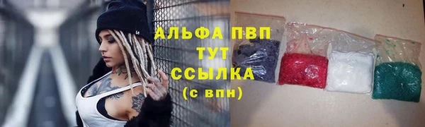 гидропоника Гусиноозёрск